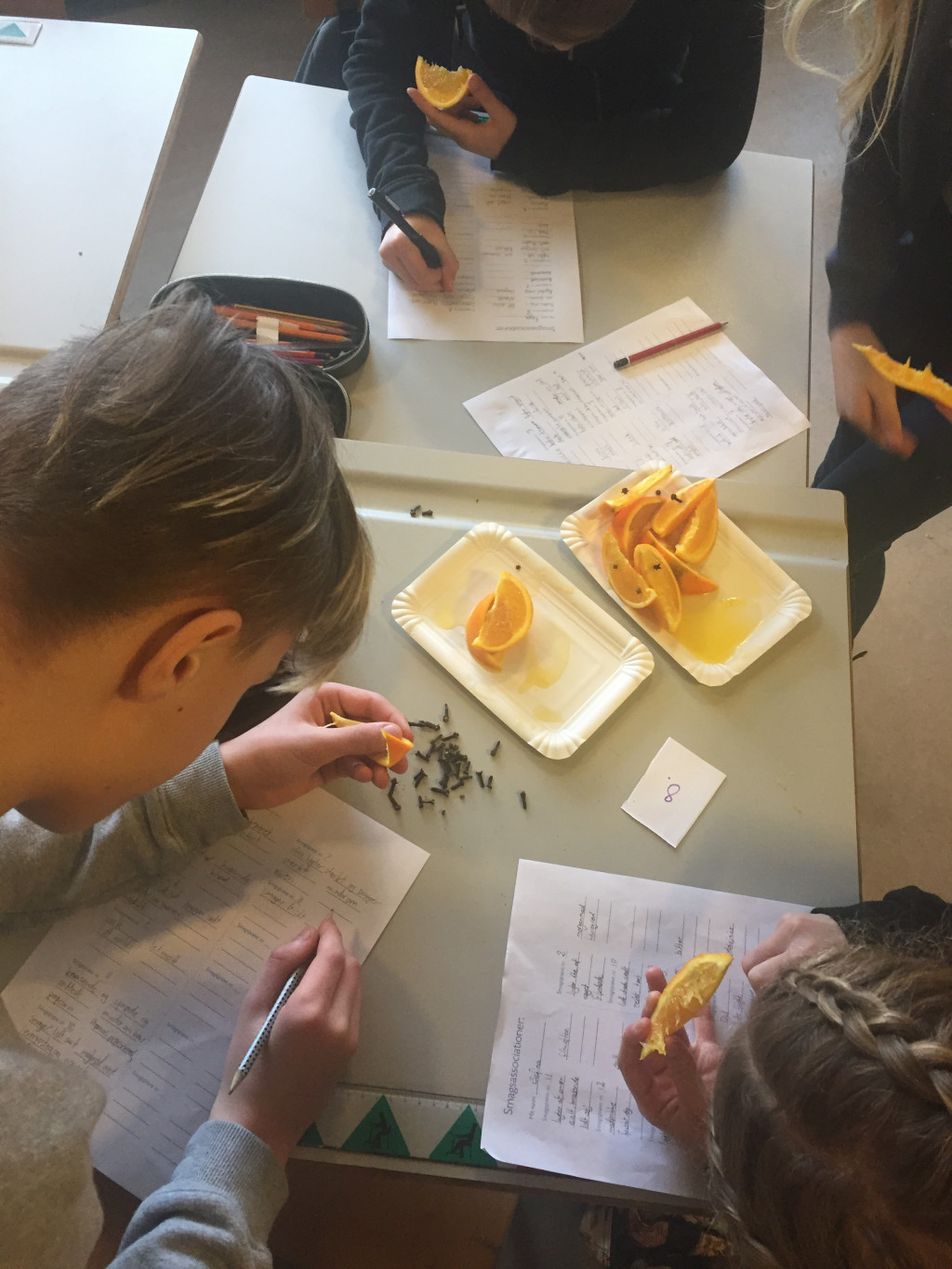 Afprøvning af undervisningen