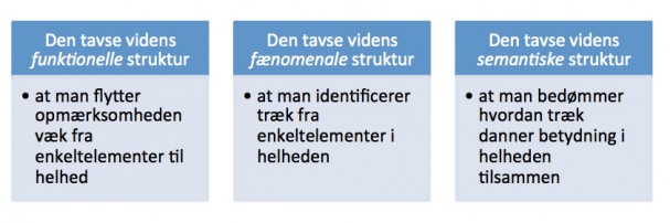 Figur 1: Strukturer og træk ved udvikling af tavs viden (egen figur af Polanyis teori). Grafik: Peter Brodersen