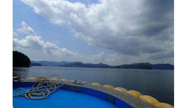 Get Spisning kystnaere For Android Free