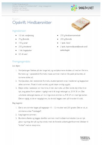 Sproglige virkemidler essay 06 image