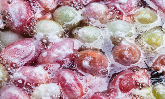 Calcificering af flåede tomater i en blanding af natron og calciumchlorid. Ved reaktionen dannes kuldioxid, som får blandingen til at boble temmelig kraftigt. (Foto: Jonas Drotner Mouritsen)