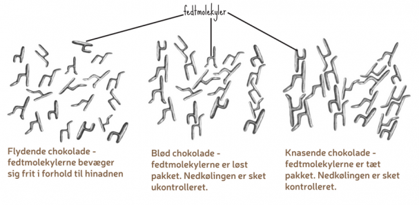 Fedtmolekyler