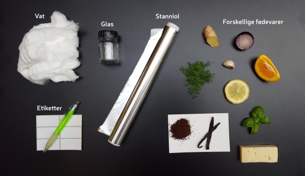 Her kan man se, hvad man skal bruge for at spille Lugt til Lugt.