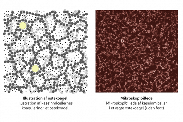 Ostens struktur. Grafik: Morten Christensen