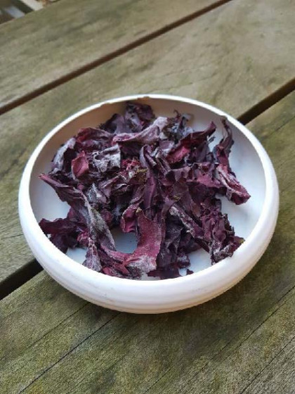 Tangchips af søl