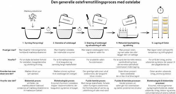 Ostefremstillingsprocessen. Grafik: Morten Christensen
