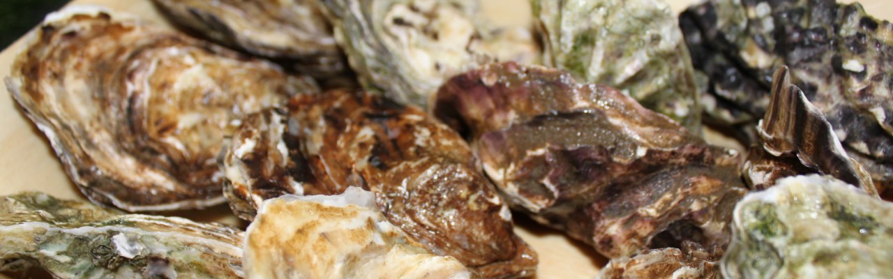 Skaldyr - her østers - spises før kød. Foto: Simon Sørensen