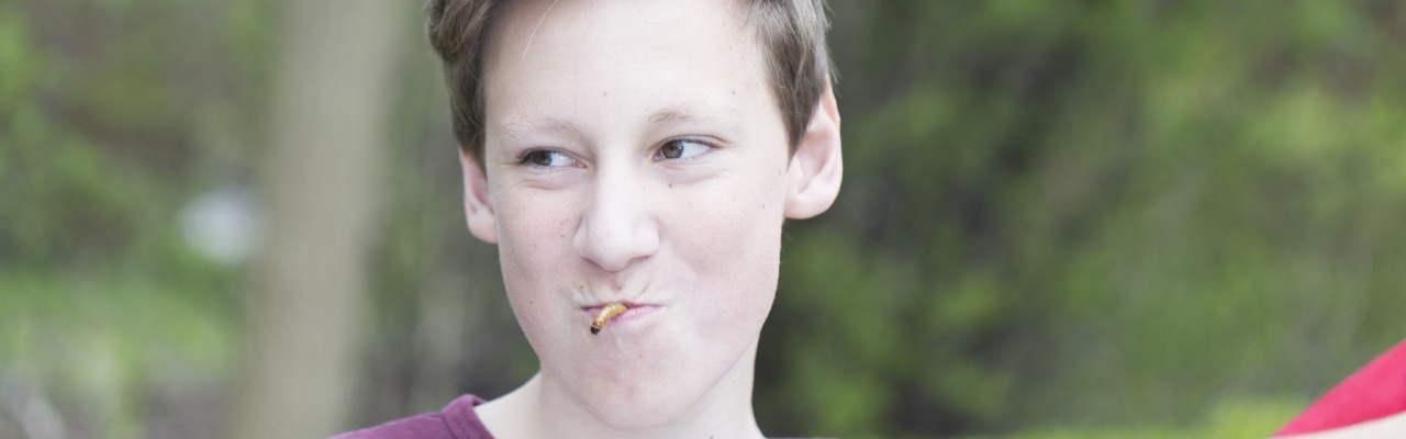 Foto: Stagbird