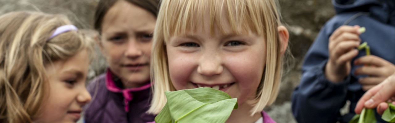 Tarup Skoles 5.a skal smage på vilde urter i forløbet "Smag for Naturen". Foto: Stagbird.