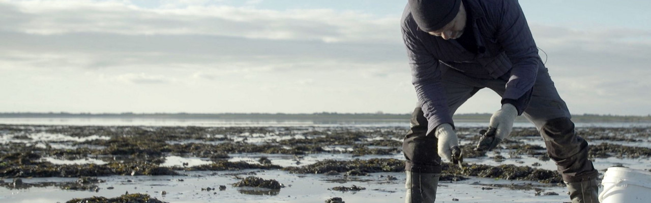 Foto: Eddy Media/DR Presse. Foto: Eddy Media/ DR Presse.