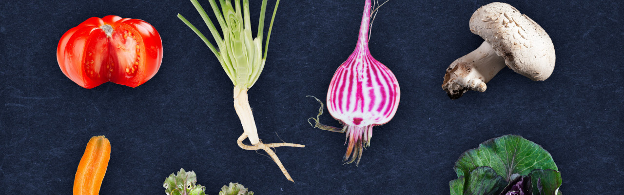 Grøn mad med masser af umami. Foto: Jonas Drotner Mouritsen.