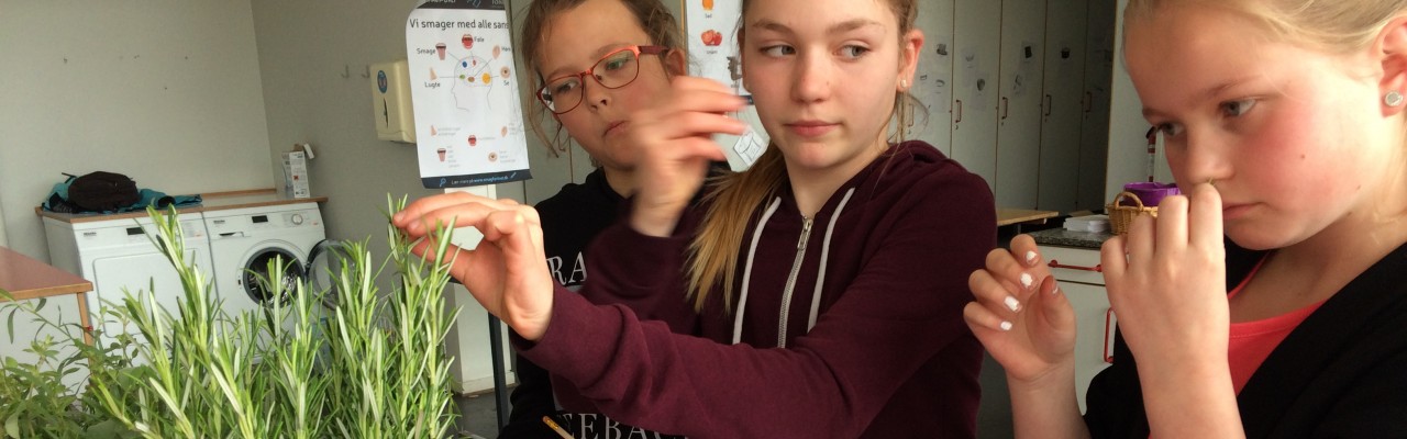 Der duftes og smages på krydderurter til Forskningens Døgn.