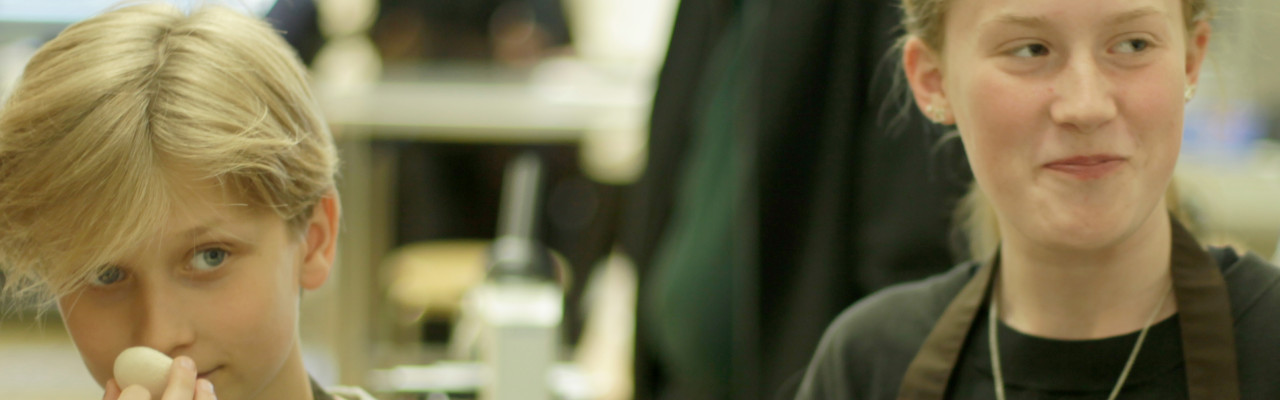 Elever smager på æg og marengs i et naturfagsforløb faciliteret af Smag for Livet. Foto: Stagbird Elever smager på æg og marengs i et naturfagsforløb faciliteret af Smag for Livet. Foto: Stagbird