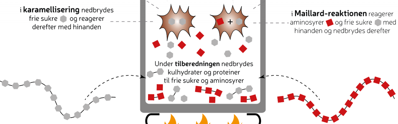 Webinar #5: Få styr på madens fysik og kemi. Illustration: Morten Christensen.