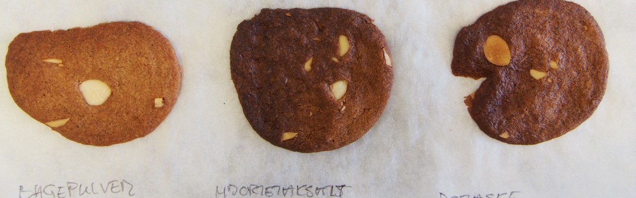Brunkager bagt med bagepulver (tv), hjortetaksalt (i midten) og potaske (th). Foto: Mikael Schneider
