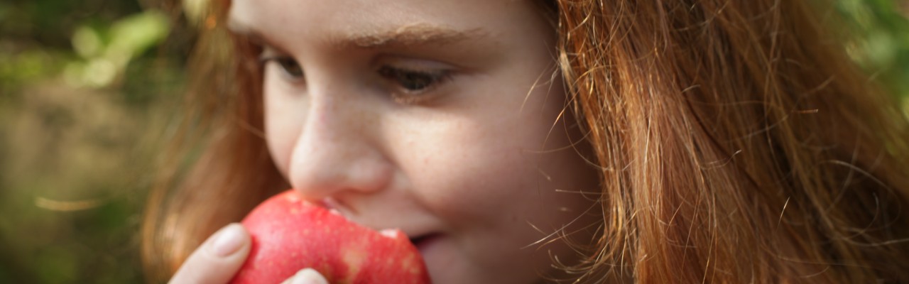 Landskursus om Smag for Livet