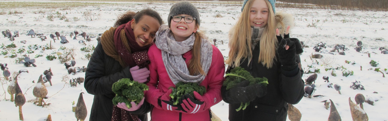 Disse piger fra 6.D har styr på grønkål. Og de 10-12-årige har også mod på at smage noget ukendt - de drives af deres nysgerrighed, viser et nyt studie. Foto: Anne Bech