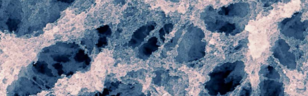 Foto: Mathias Porsmose Clausen