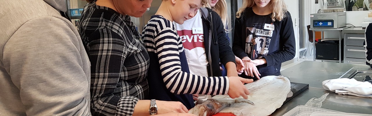 Hvordan føles en blæksprutte på 4,2 kg? Foto: Julia Sick Hvordan føles en blæksprutte på 4,2 kg? Foto: Julia Sick