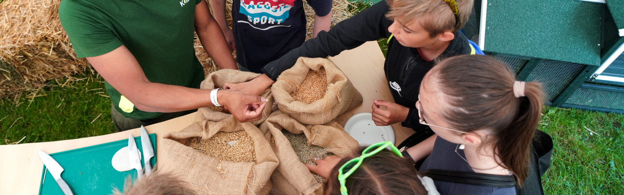 Bonderøvsfestival: Smag for Livet dækker op fra jord-til-bord. Foto: Rune Skeel-Gjørling. Bonderøvsfestival: Smag for Livet dækker op fra jord-til-bord. Foto: Rune Skeel-Gjørling.