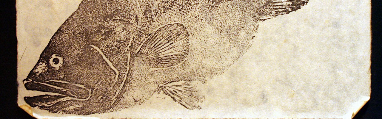 Foto stillet til rådighed af J. G. Wang Foto stillet til rådighed af J. G. Wang