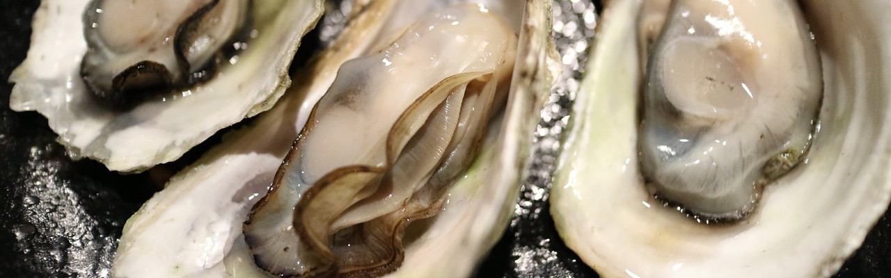 Østers. Foto: Pixabay