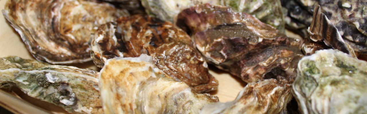 Kulinarisk kapital. Foto: Simon Sørensen. Kulinarisk kapital. Foto: Simon Sørensen.