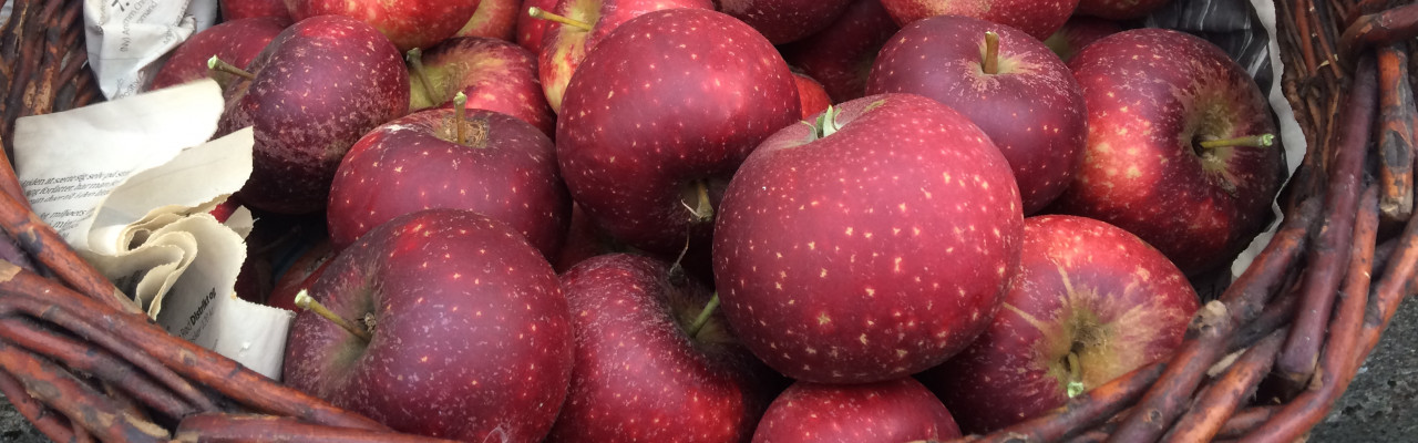 Dine æbler fra haven - også dem, der er faldet ned - kan laves til æblesmør. Foto: Eva Rymann
