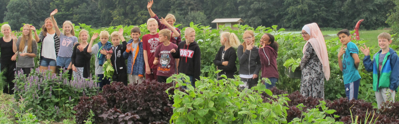 6.D fra Brøndbyøster Skole har madkundskab i marken. Foto: Anne Bech