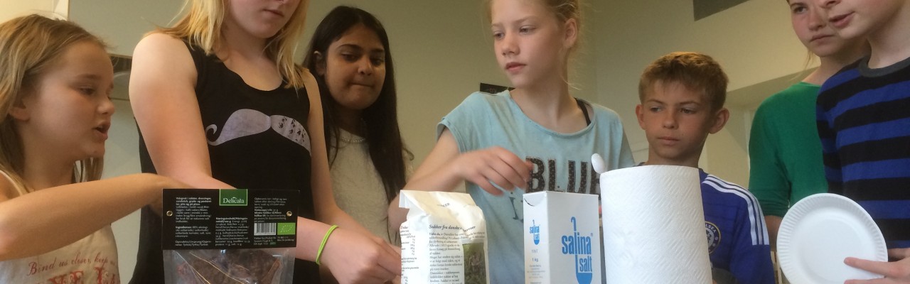 Sapere-programmet. Foto: Mikael Schneider