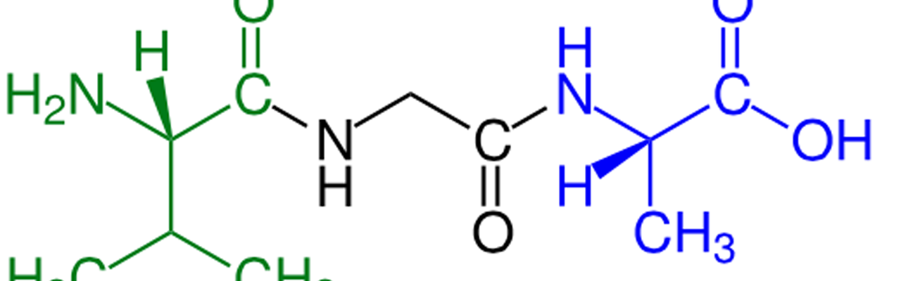 Peptid. 