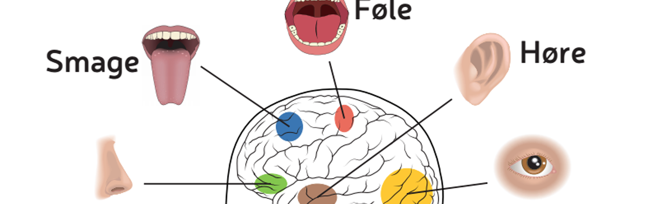 Sensorik.