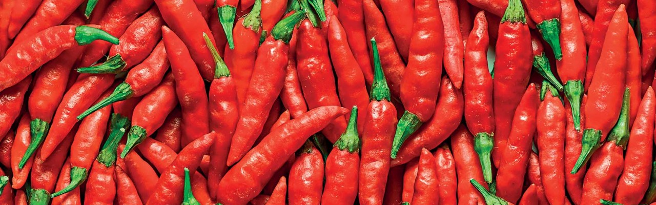 Hvor stærk er chili? Hvor stærk er chili?