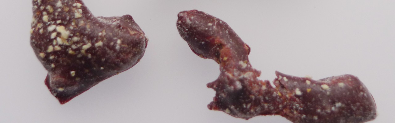 Vandmand tilsat yuzu og overtrukket med chokolade. Foto: Ole G. Mouritsen.