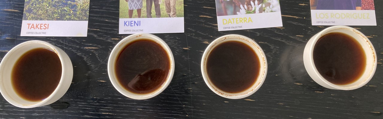 Forskellige kaffer klar til cupping. Foto: Johanne Hvelplund