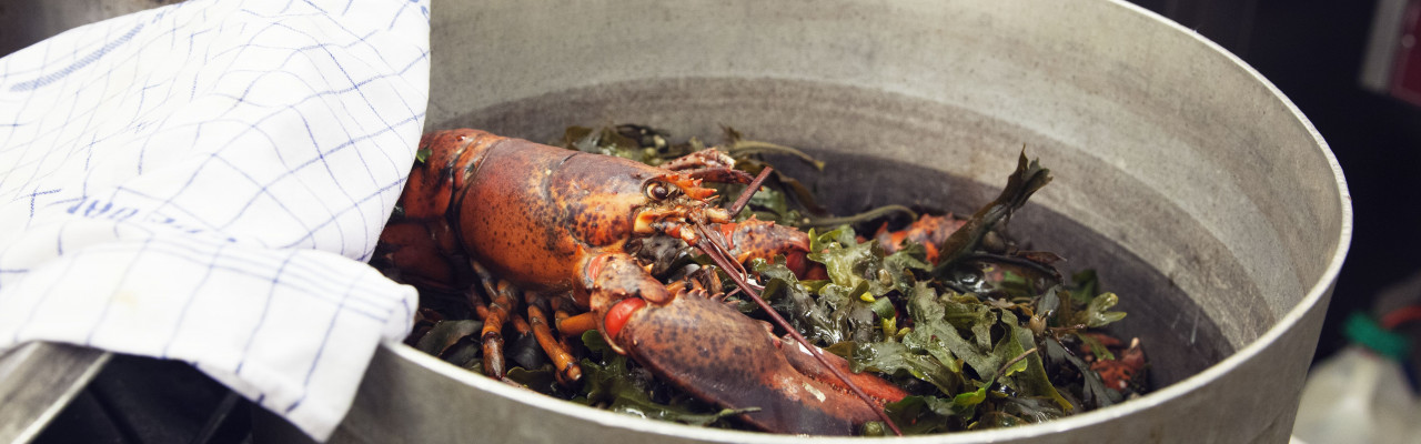 Skaldyr og tang i gryden giver masser af umami. Foto: Jonas Drotner Mouritsen