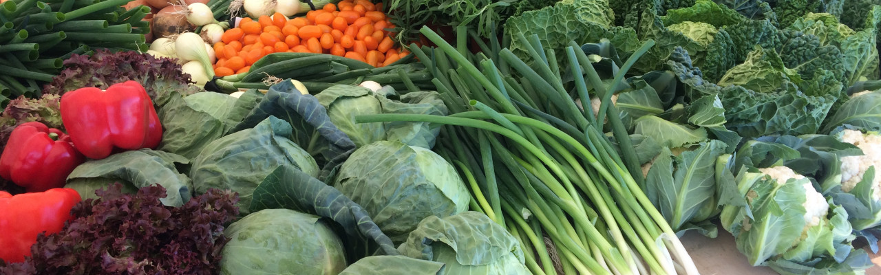 Med Den grønne pose har man en genvej til grøn mad og mindre madspild. Foto: Eva Rymann
