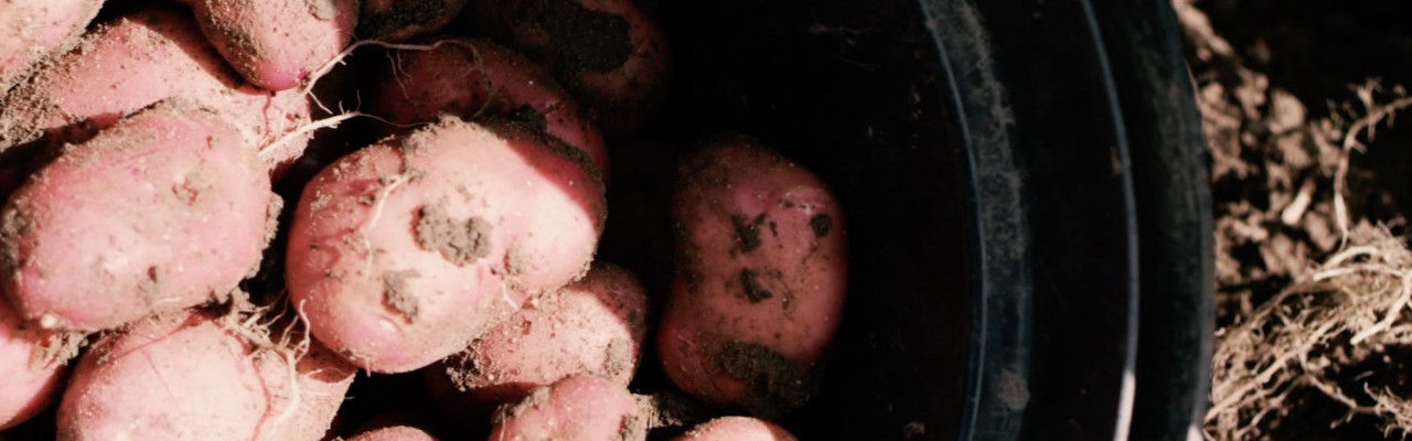 Foto: Jonas Bang for Smag for Livet