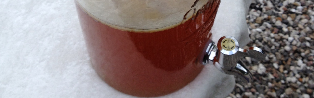 Kombucha er et af de fermenterede produkter, der indtil for få år siden var ukendt herhjemme. Foto: Birthe Kofoed Mortensen