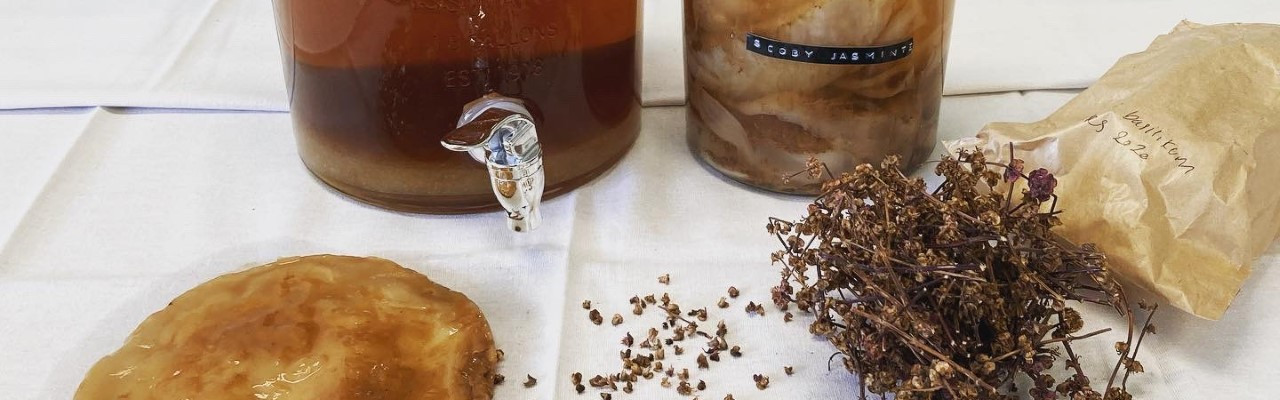 Kombucha - fermenteret te med smag af f.eks. frugt eller urter. Foto: Johanne Hvelplund