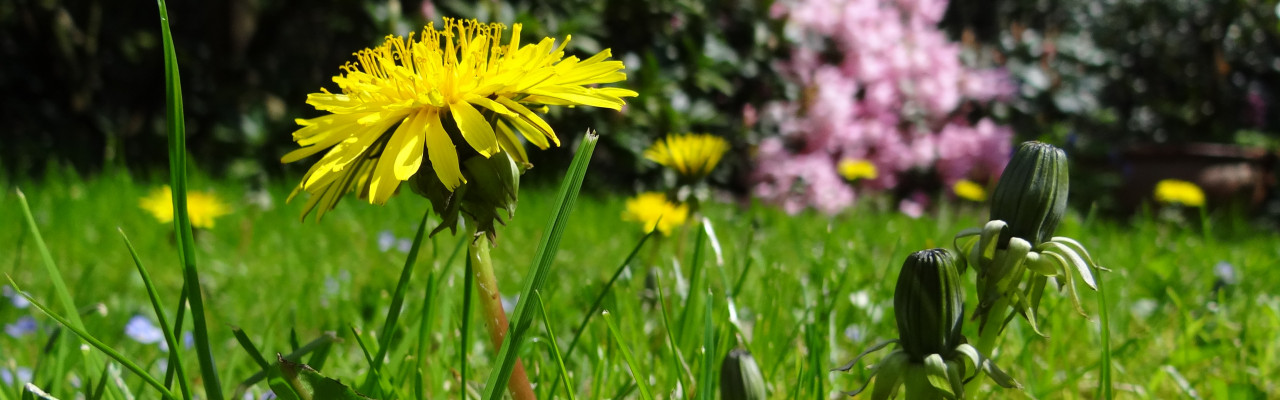 Foto: Pixabay Foto: Pixabay