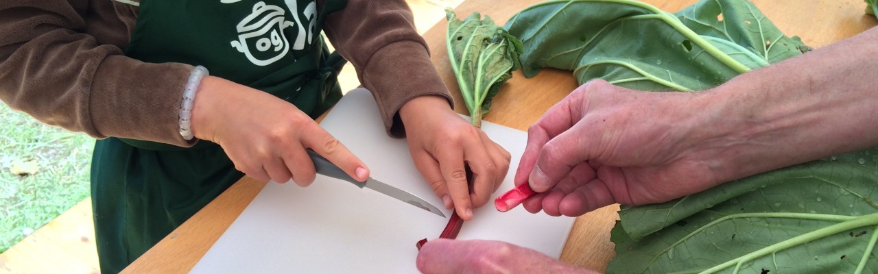 Rabarberkompot undervejs. Foto: Eva Rymann