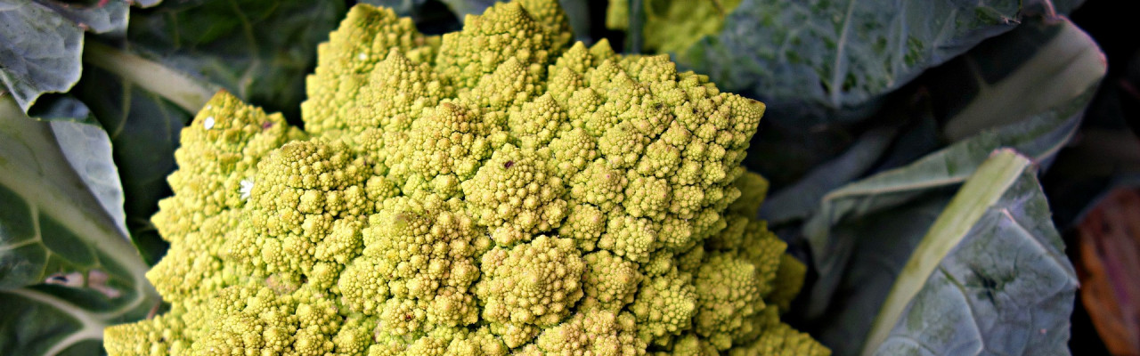 Grøntsager som f.eks. romanesco indeholder kostfibre. Foto: Pixabay Grøntsager som f.eks. romanesco indeholder kostfibre. Foto: Pixabay