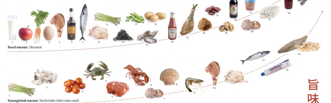 Et overblik over råvarer med umami. Grafik fra bogen “Umami. Gourmetaben og den femte smag”.