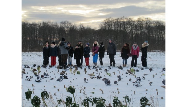 Eleverne i marken på Krogerup Avlsgaard. Foto: Anne Bech