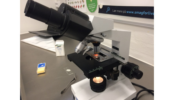 I mikroskopet kunne de studerende se partiklerne i chokoladen. Foto: Eva Rymann